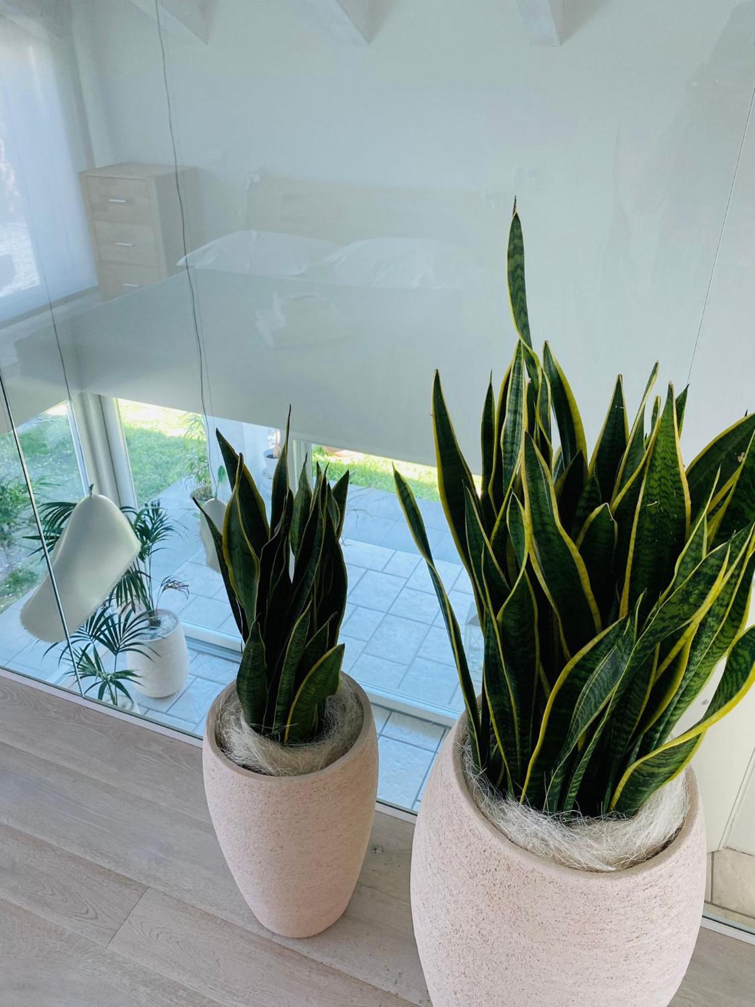 Jesolo Beach Villa Holiday home Lido di Jesolo